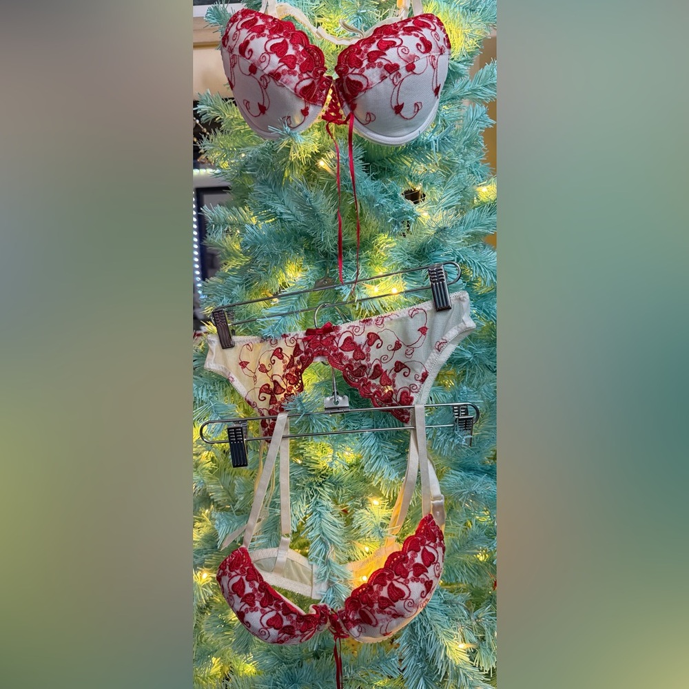 Vintage Frederick’s of Hollywood Red and White Heart Embroidered Lingerie
